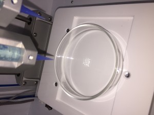 bioprinted-idrogel