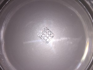 bioprinted-idrogel-detail